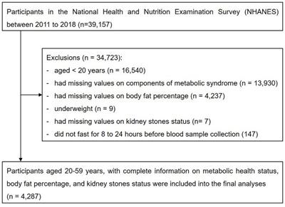 Association between metabolically healthy obesity and kidney stones: results from the 2011–2018 National Health and Nutrition Examination Survey